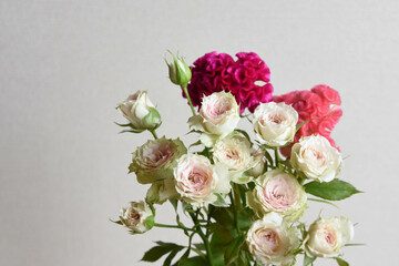 薔薇とケイトウ