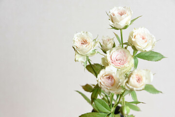 ストロベリーミルフィーユ