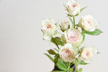 ストロベリーミルフィーユ