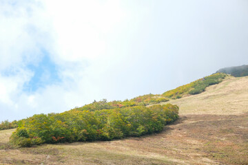 Obraz premium Happo Alpen Line Nature trail, Hakuba, Nagano, Japan, Rolling hillside with shrubs and clouds