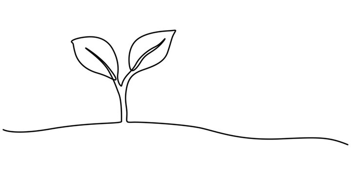 recommend clip art: Plant growing continuous one line art drawing of tree plant outline vector illustration. Sprout Continuous Line Illustration, Single line drawing of a plant, Plant growing continuous one line art 
                    