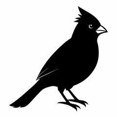 Cardinal Bird Svg Bundle, Cardinal Bird Silhouette, Cardinal Bird Clipart, Cardinal Bird Vector