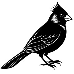 Cardinal Bird Svg Bundle, Cardinal Bird Silhouette, Cardinal Bird Clipart, Cardinal Bird Vector