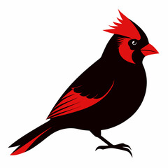 Cardinal Bird Svg Bundle, Cardinal Bird Silhouette, Cardinal Bird Clipart, Cardinal Bird Vector