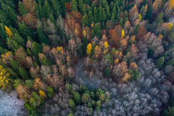 Wschód słońca Beskid Sądecki, Malnik