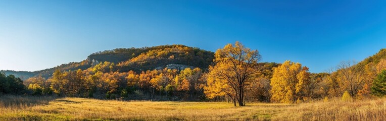 Naklejka premium Autumn colors blanket the Ozark Mountains as golden leaves dance in the gentle breeze near a clear blue sky