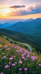 Fototapeta premium Experience the beauty of wildflowers along the Mt Washington Auto Road at sunset with stunning mountain views in New Hampshire