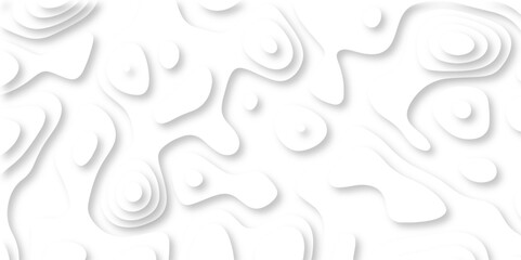 paper cut 3d render topography abstract, beautiful white Background. geometric map relief texture with curved layers and shadow. Realistic papercut decoration textured with wavy vector design.