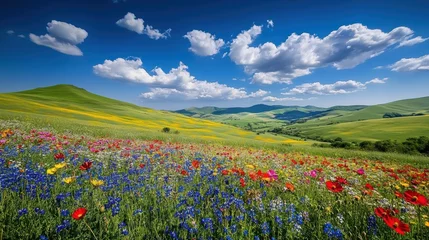 A vibrant spring day in a lush valley filled with colorful wildflowers against rolling green hills and a bright blue sky