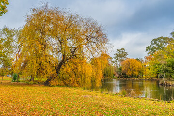 Castlemaine Botanical Gardens in late Autumn