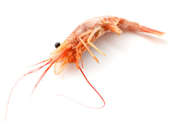 A shrimp is laying on a white background