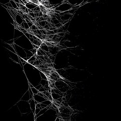 Intricate Web of Connections AI generated