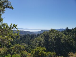 Blue Sky Over Forested Hills with Mountain View