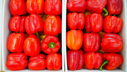 Close-up of many beautiful red bell peppers in white boxes