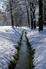 canal with tress on both sides leading through a snowcovered field in winter in the natural preserve Lauteracher Ried in Vorarlberg Austria