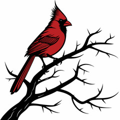 Cardinal Bird SVG vector, Instant Digital Download