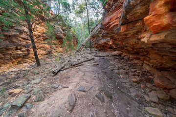 Wide angled view of a path leading through the opening at the base of a natural rocky gorge