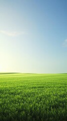 Obraz premium Wide-angle view of a freshly mowed lawn with a subtle gradient effect, outdoor scenery, garden landscape, lawn maintenance, summer landscape, natural light