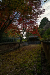 Fototapeta premium 書写山圓教寺