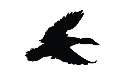 Flying Duck Silhouette Design  And Vector Illustration. 