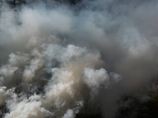 Thick, white smoke from burning wet branches and grass