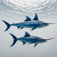 Naklejka premium Electric Blue Swordfish, ocean, fish, vibrant colors, underwater, sea life, swordfish, marine life, blue fish, stunning sea creature, aquatic beauty.