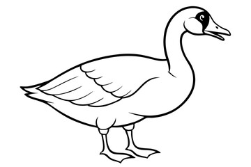 Canadian goose vector art illustration © Jhanto