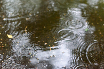 Selective focus photo. Raindrops in puddle.