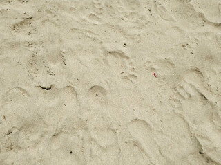 Beach Sand 2
Beach sand close up as background