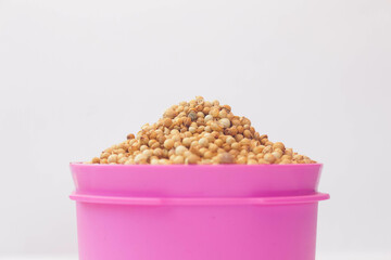 Coriander 3
Coriander, a spice plant, a cooking ingredient on a white background