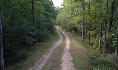 Fototapeta premium A forest road leading to a dirt road, Generative AI 