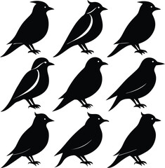 Black Bird Silhouette Vector Art: Illustration of Bird Shapes, Wildlife Graphic Design Element, Animal Icon, Bird Clipart, Isolated Bird Image