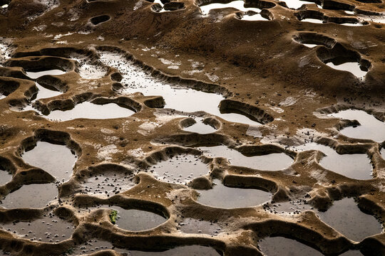 Low Tide Pools
