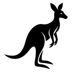 kangaroo illustration