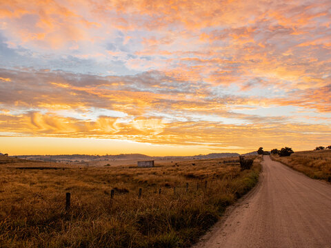 A dirt country road at dawn with orange clouds in sky