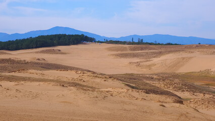 鳥取砂丘7