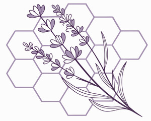 Abstract floral vector illustration