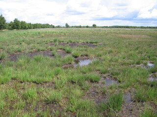 Fr&ouml;slev-Jardelunder Moor in Schleswig-Holstein an der d&auml;nischen Grenze