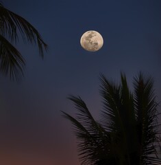 lune