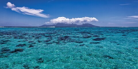 lagon