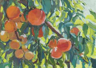 Peaches gouache painting. Ripe juicy fruits on a branch. Hand-drawn illustration. Contemporary art. An artistic summer postcard for design. The concept of summer, vitamins, healthy nutrition