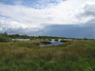 Fröslev-Jardelunder Moor in Schleswig-Holstein an der dänischen Grenze