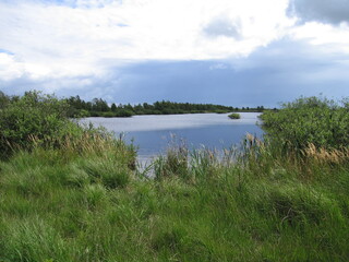 Fr&ouml;slev-Jardelunder Moor in Schleswig-Holstein an der d&auml;nischen Grenze