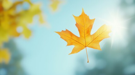 Obraz premium A leaf is floating in the air above a blue sky