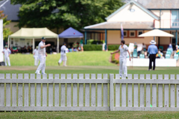 Men playing cricket at Bradman Oval, Bowral