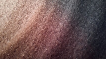 Fototapeta premium Textured background made of wool, fur fabric