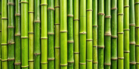 Green Tone Bamboo Plank Fence Texture and Bamboo Raft - Natural Outdoor Elements for Product Photography