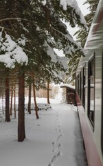 Fototapeta premium Scenic Train Journey Through a Snowy Forest in Winter Wonderland