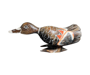 Image of Beautiful Wood Duck
