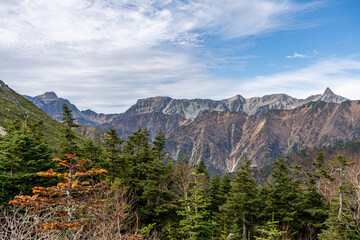 Obraz premium national park